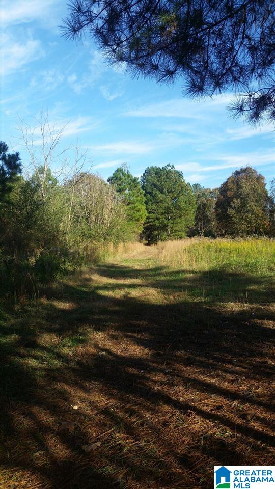 0 County Road 654 Muscadine, AL 36269 - Photo 8 of 9