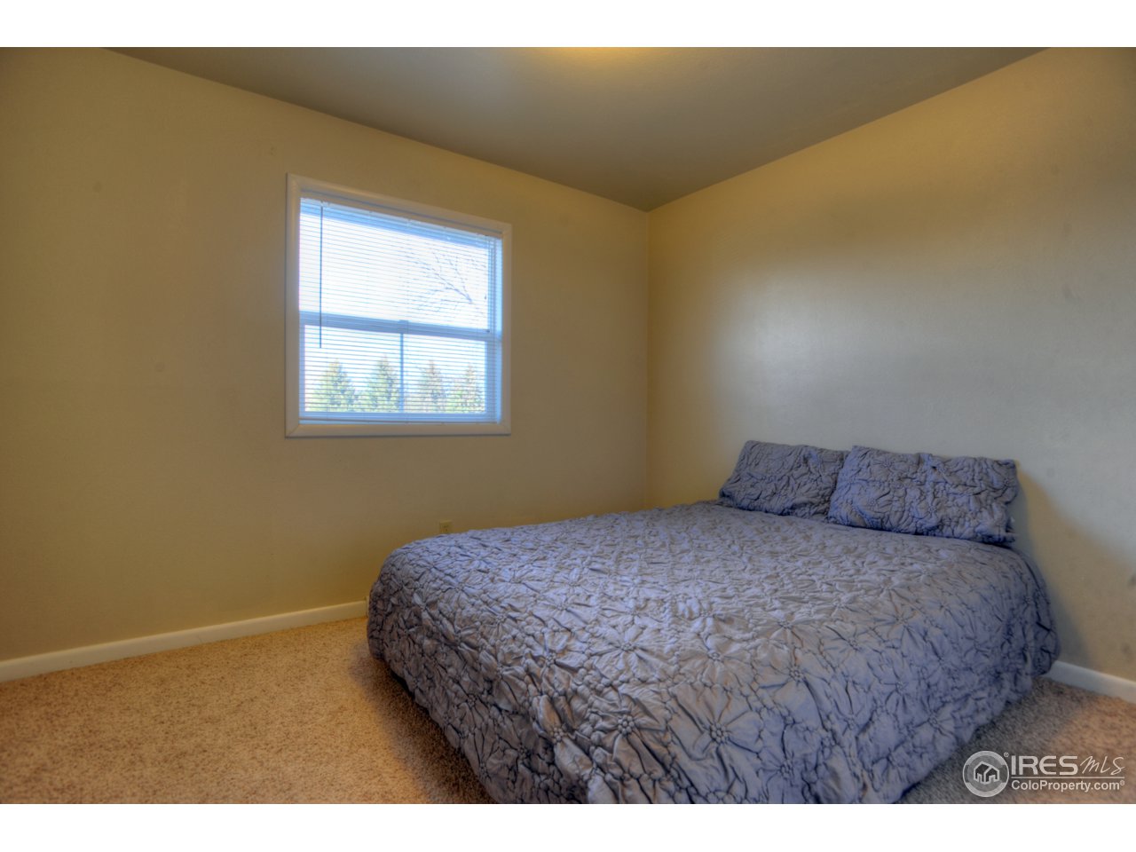 505 West Drake Road Fort Collins, CO 80526 - Photo 20 of 27 Bedroom 3