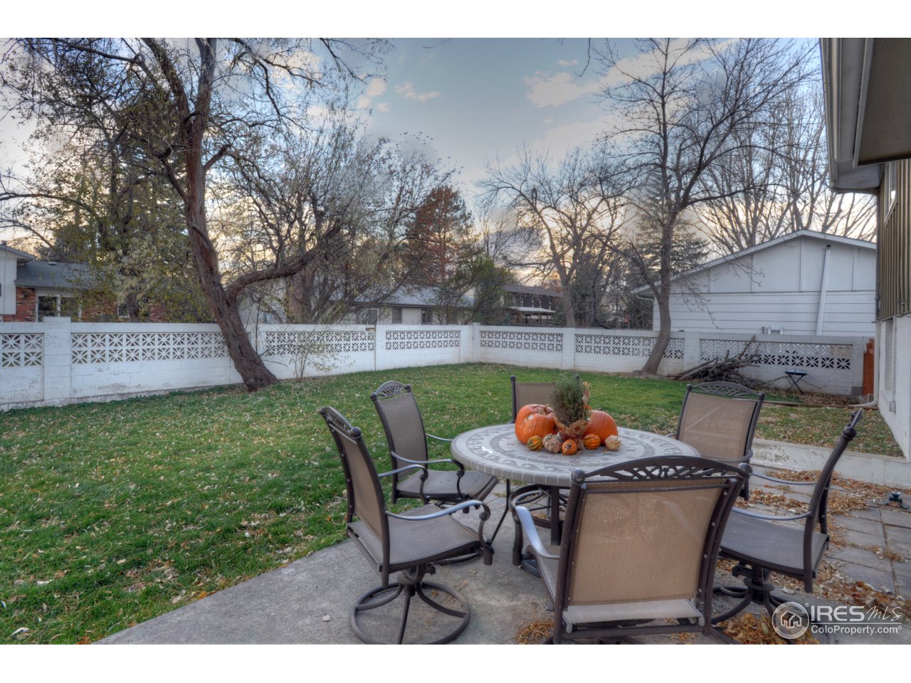 505 West Drake Road Fort Collins, CO 80526 - Photo 25 of 27 Back Yard