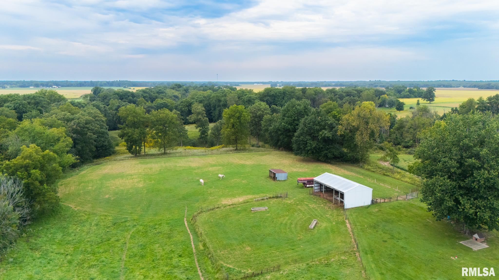 29249 North Bitner Road Glasford, IL 61533 - Photo 7 of 40 Gallery Image 7