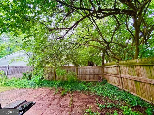a view of a yard with a tree