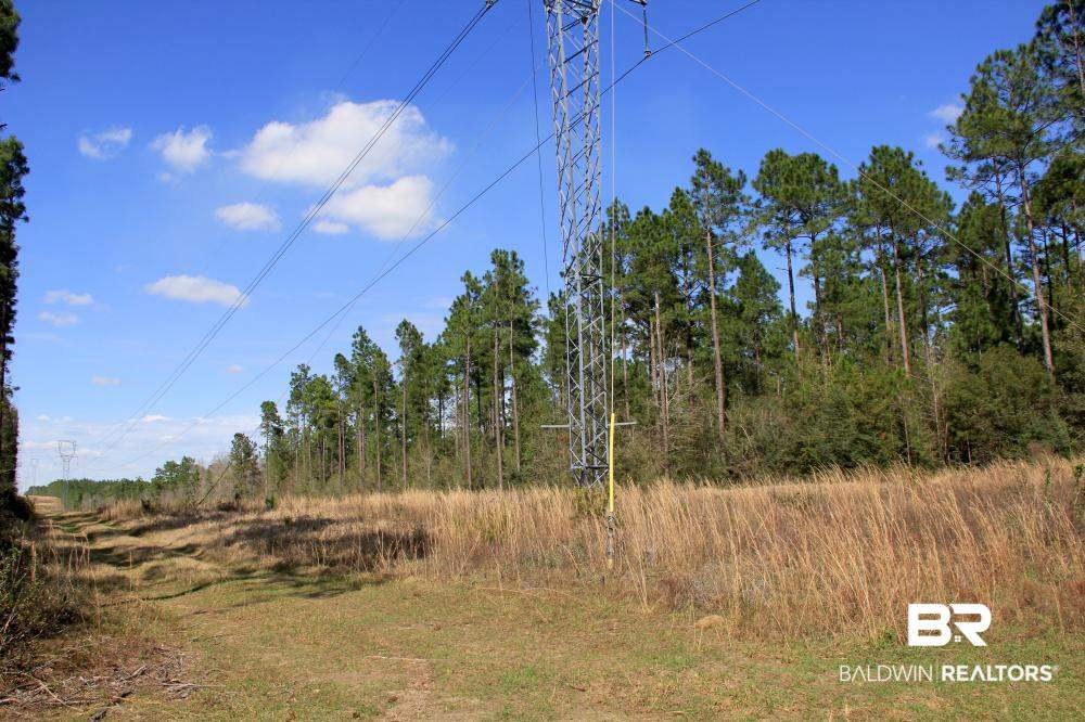 0 County Road 49 Loxley, AL 36551 - Photo 26 of 33
