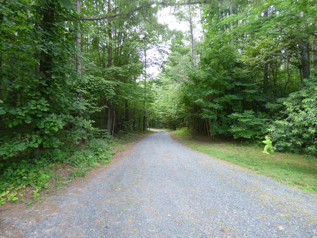 234 Scotts Bottom Road Dillwyn, VA 23936 - Photo 28 of 28 Gallery Image 28