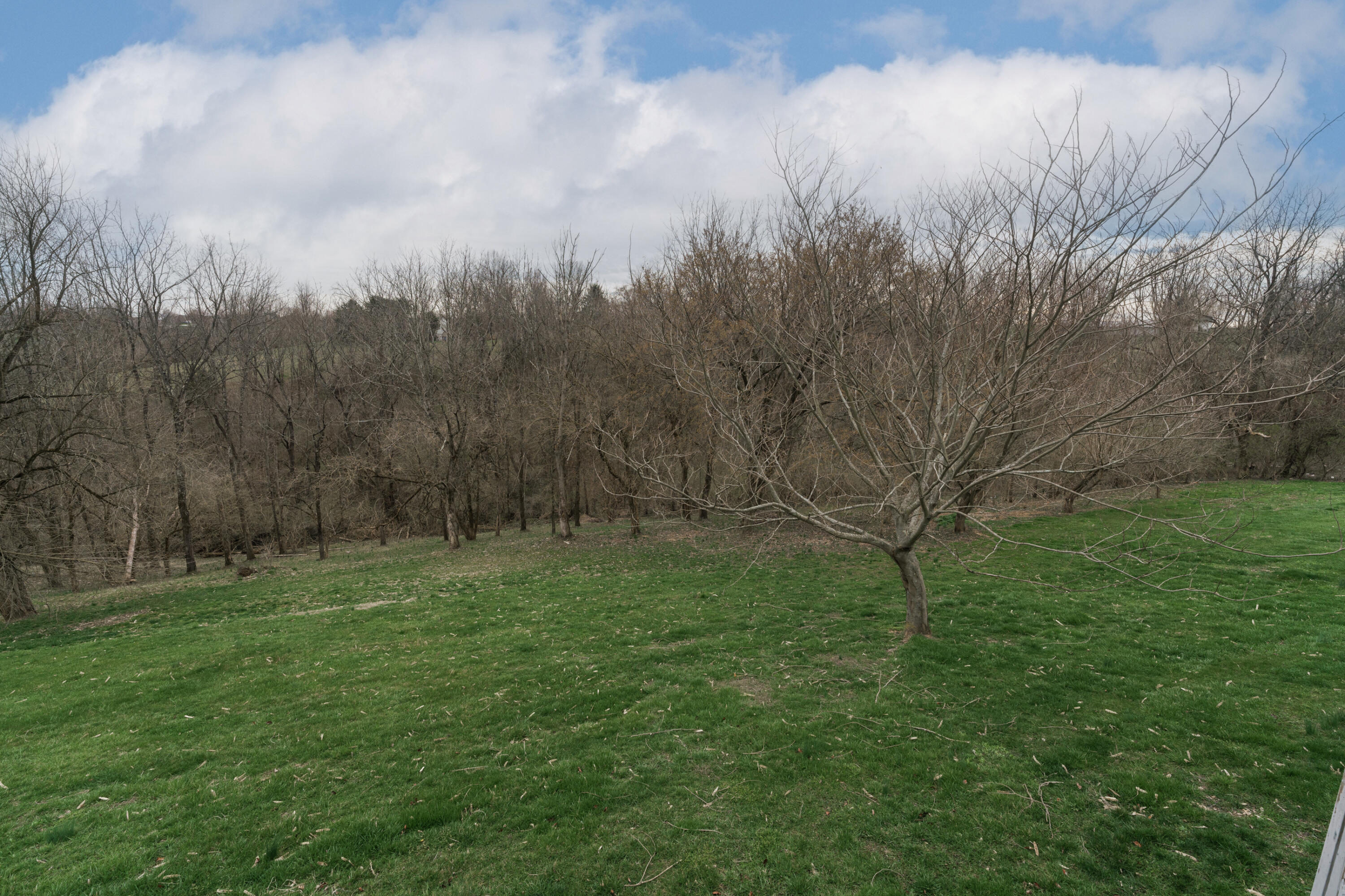 285 Cherokee Trail Dry Ridge, KY 41035 - Photo 12 of 28