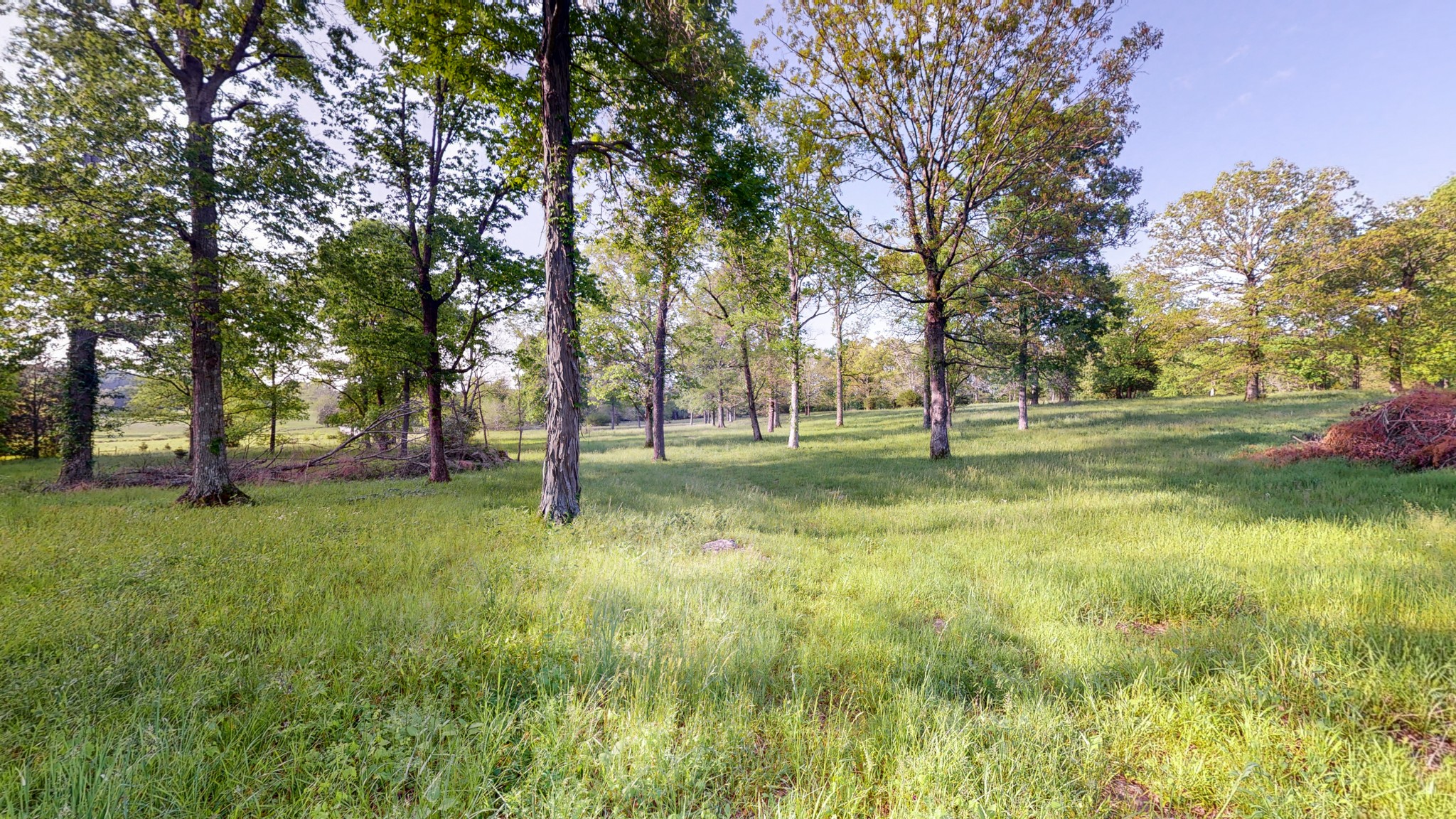 1525 Burford Road Lebanon, TN 37087 - Photo 4 of 9 Gallery Image 4