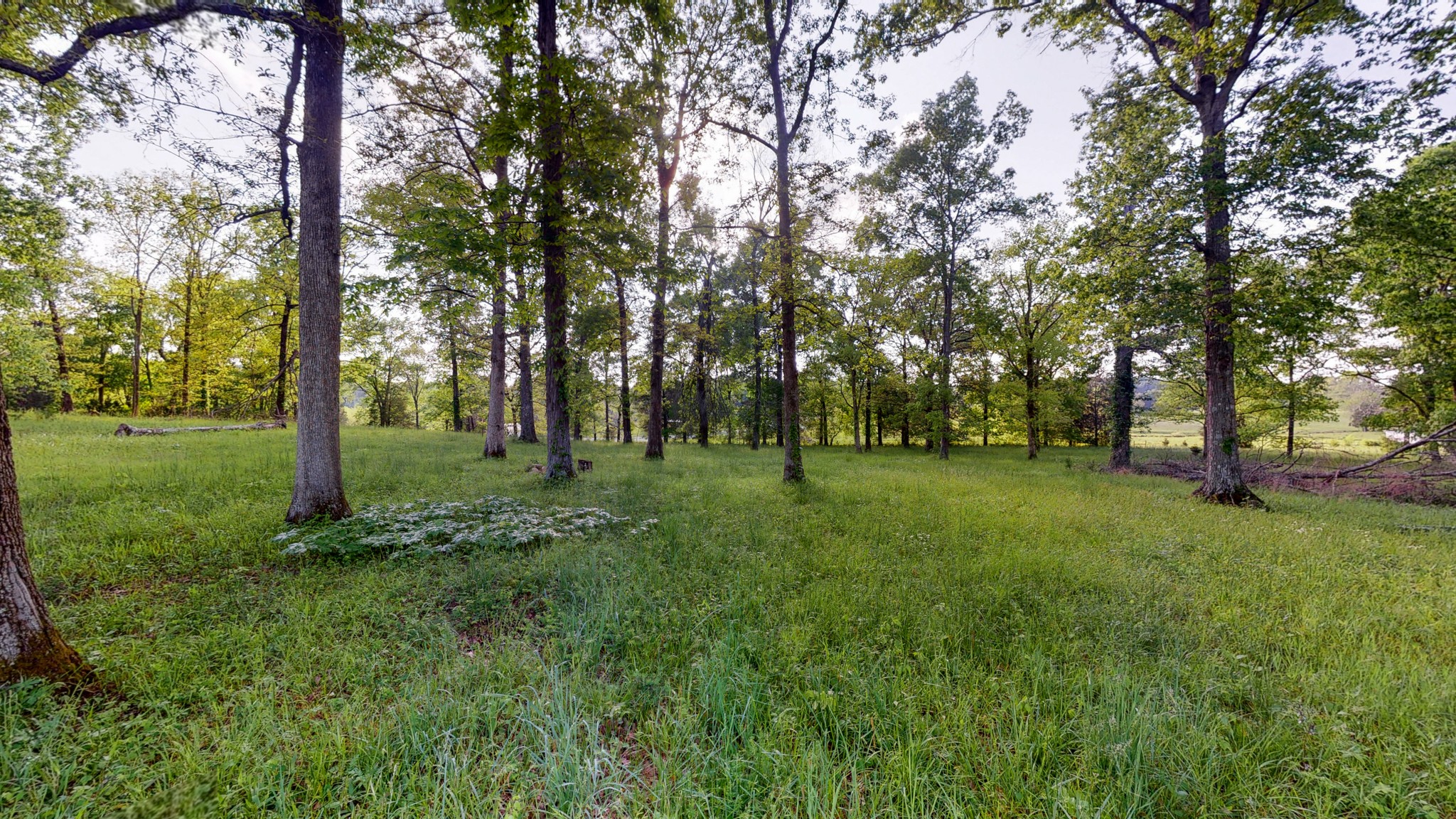 1525 Burford Road Lebanon, TN 37087 - Photo 5 of 9 Gallery Image 5
