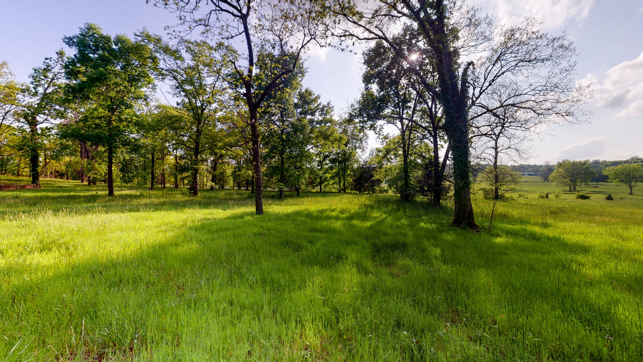 1525 Burford Road Lebanon, TN 37087 - Photo 8 of 9 Gallery Image 8