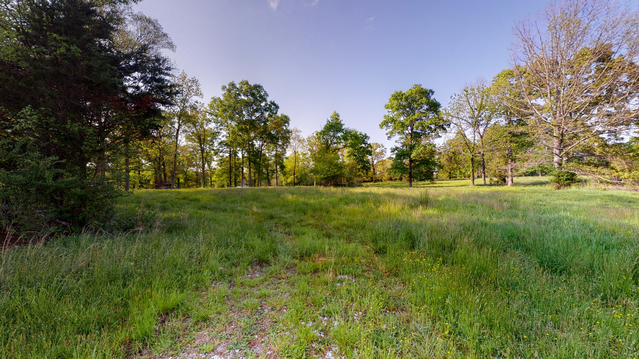 1525 Burford Road Lebanon, TN 37087 - Photo 9 of 9 Gallery Image 9
