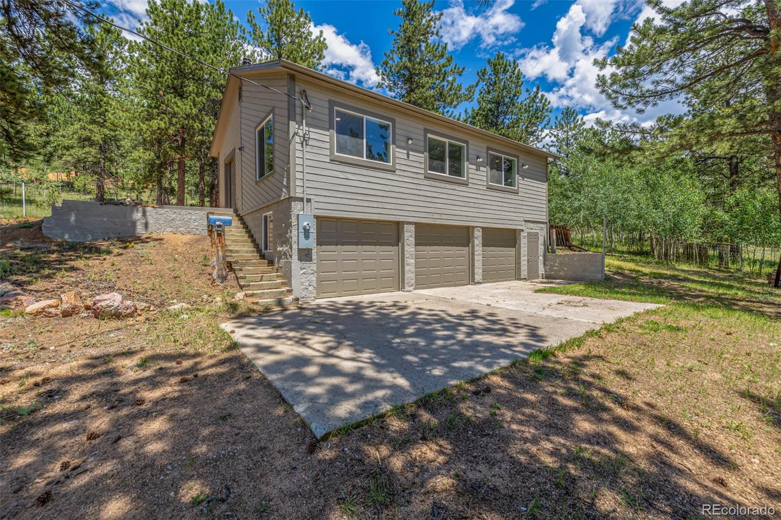 363 Neal Road Bailey, CO 80421 - Photo 2 of 39 a backyard of a house