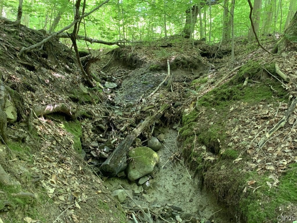0 Rohr Hill Road East Otto, NY 14729 - Photo 12 of 16 Gallery Image 12