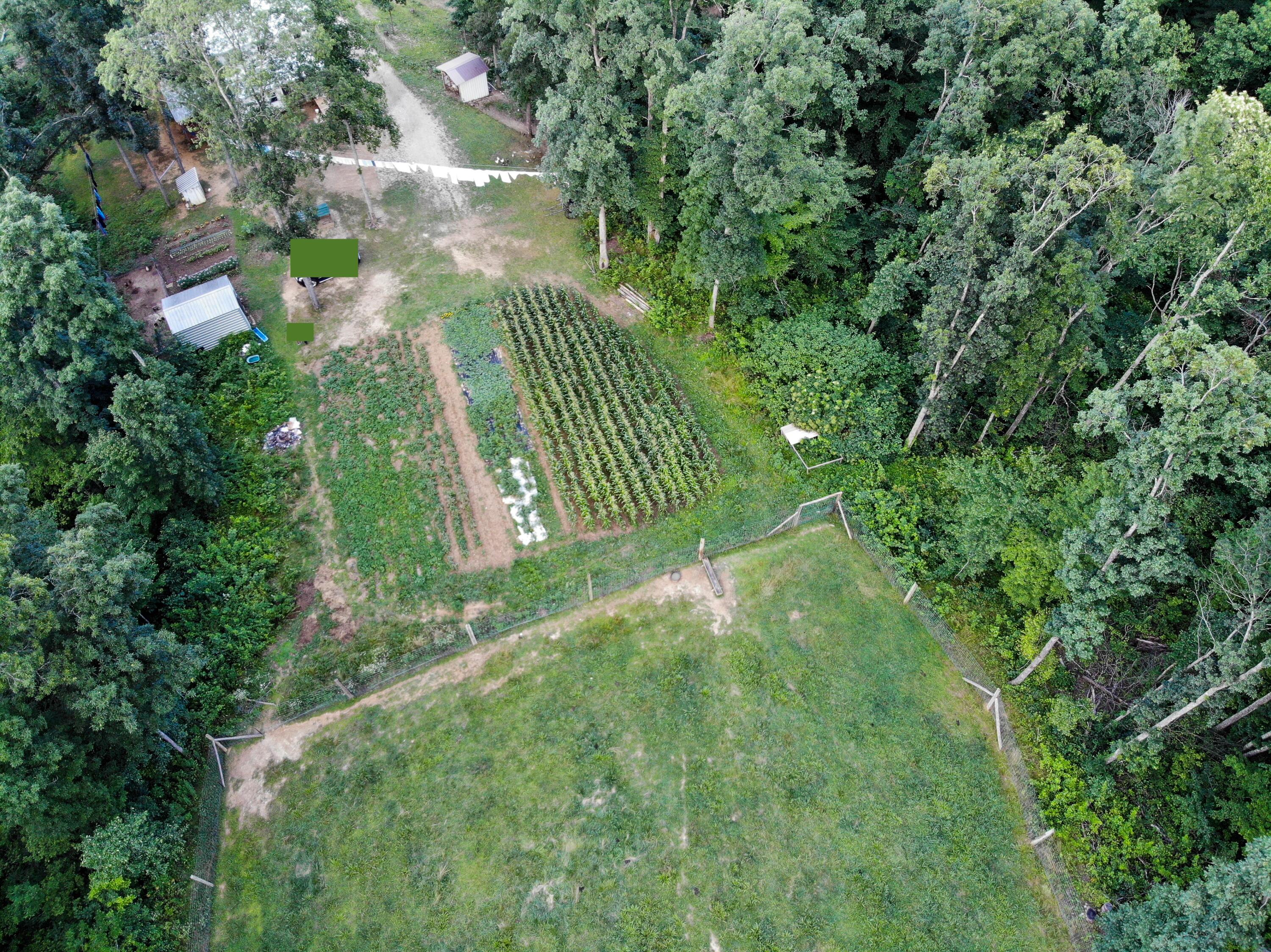 670 Buffalo Road Annville, KY 40402 - Photo 75 of 80 DJI_0814a