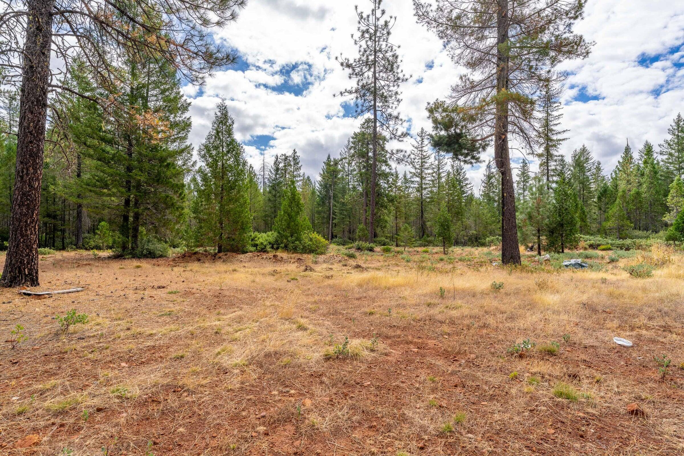 755 Rough And Ready Creek Road Cave Junction, OR 97523 - Photo 19 of 26 20240917175907577803000000-o