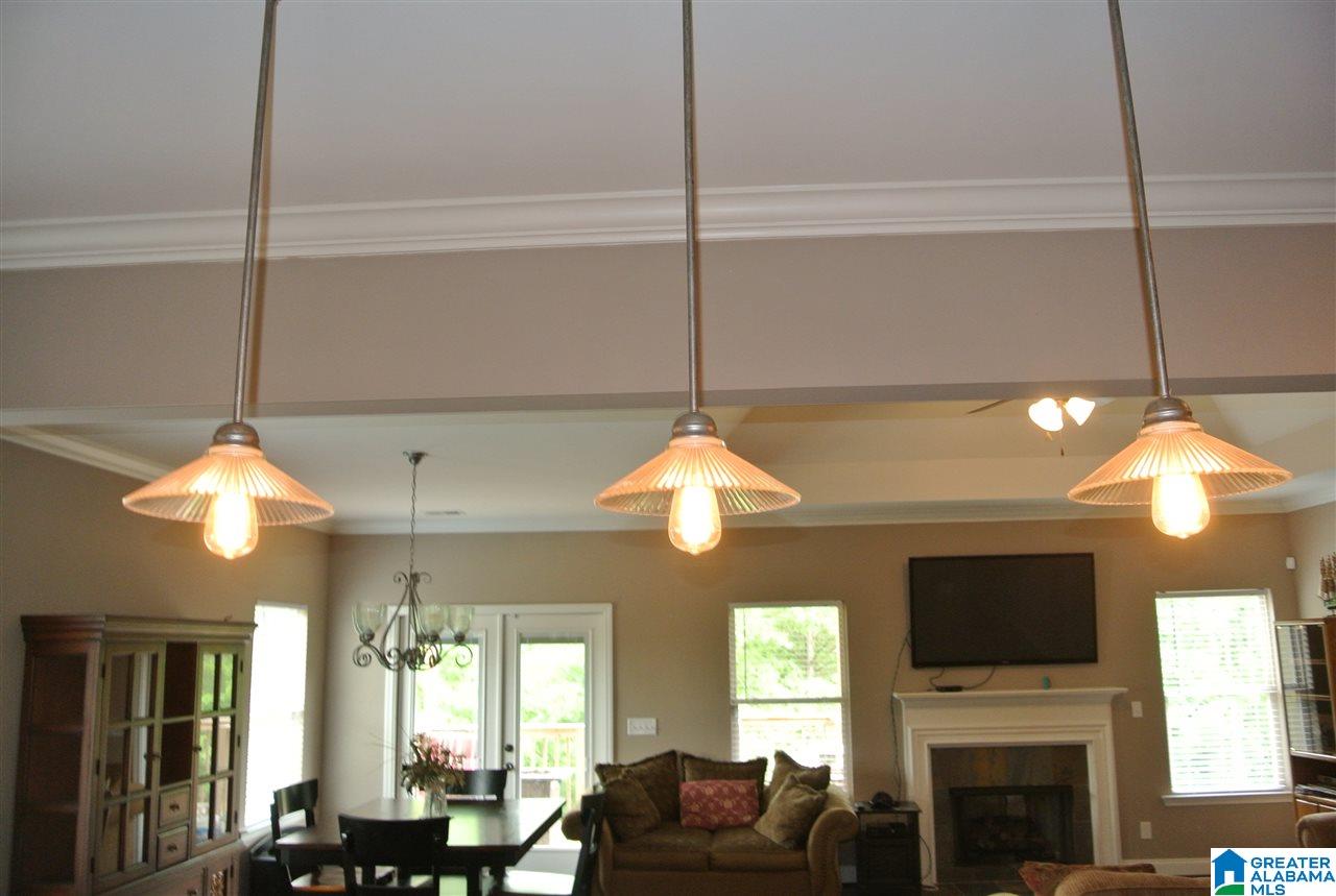 140 Pickford Place Springville, AL 35146 - Photo 9 of 47