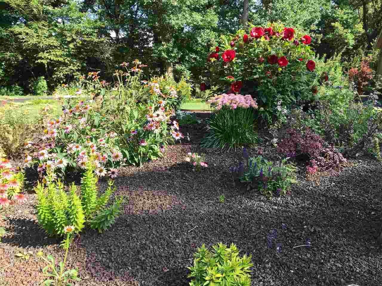 2685 Rogene Drive Oregon, IL 61061 - Photo 39 of 40 a flower view