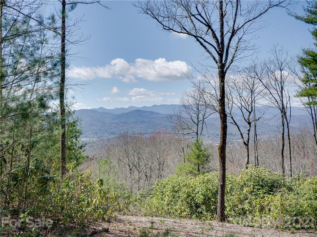 8 B Reserve Road Landrum, SC 29356 - Photo 1 of 23 Gallery Image 1
