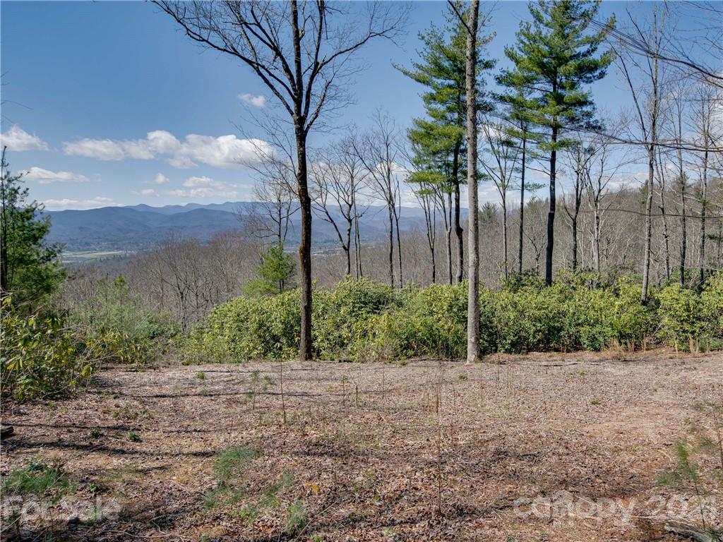 8 B Reserve Road Landrum, SC 29356 - Photo 3 of 23 Gallery Image 3