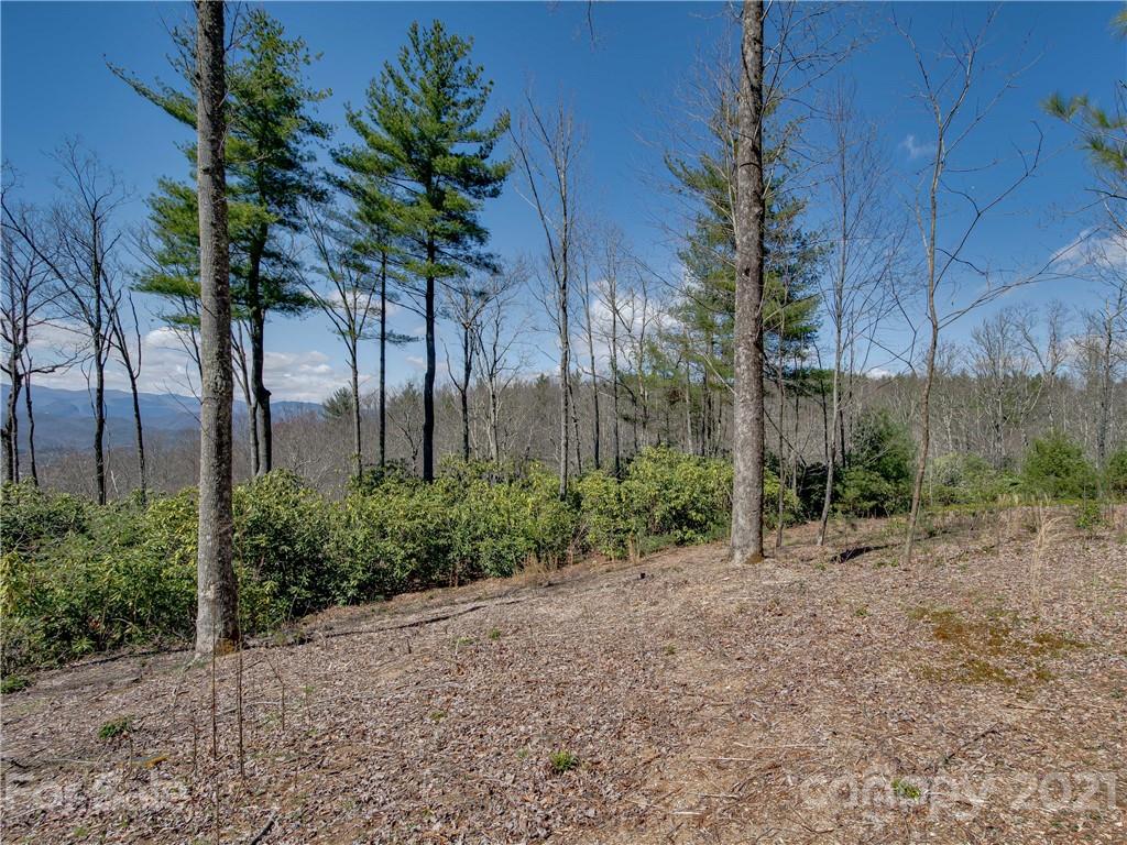 8 B Reserve Road Landrum, SC 29356 - Photo 4 of 23 Gallery Image 4