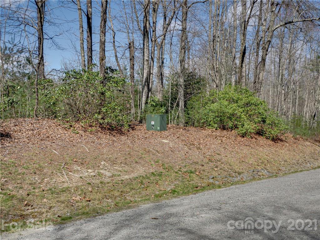 8 B Reserve Road Landrum, SC 29356 - Photo 9 of 23 Gallery Image 9