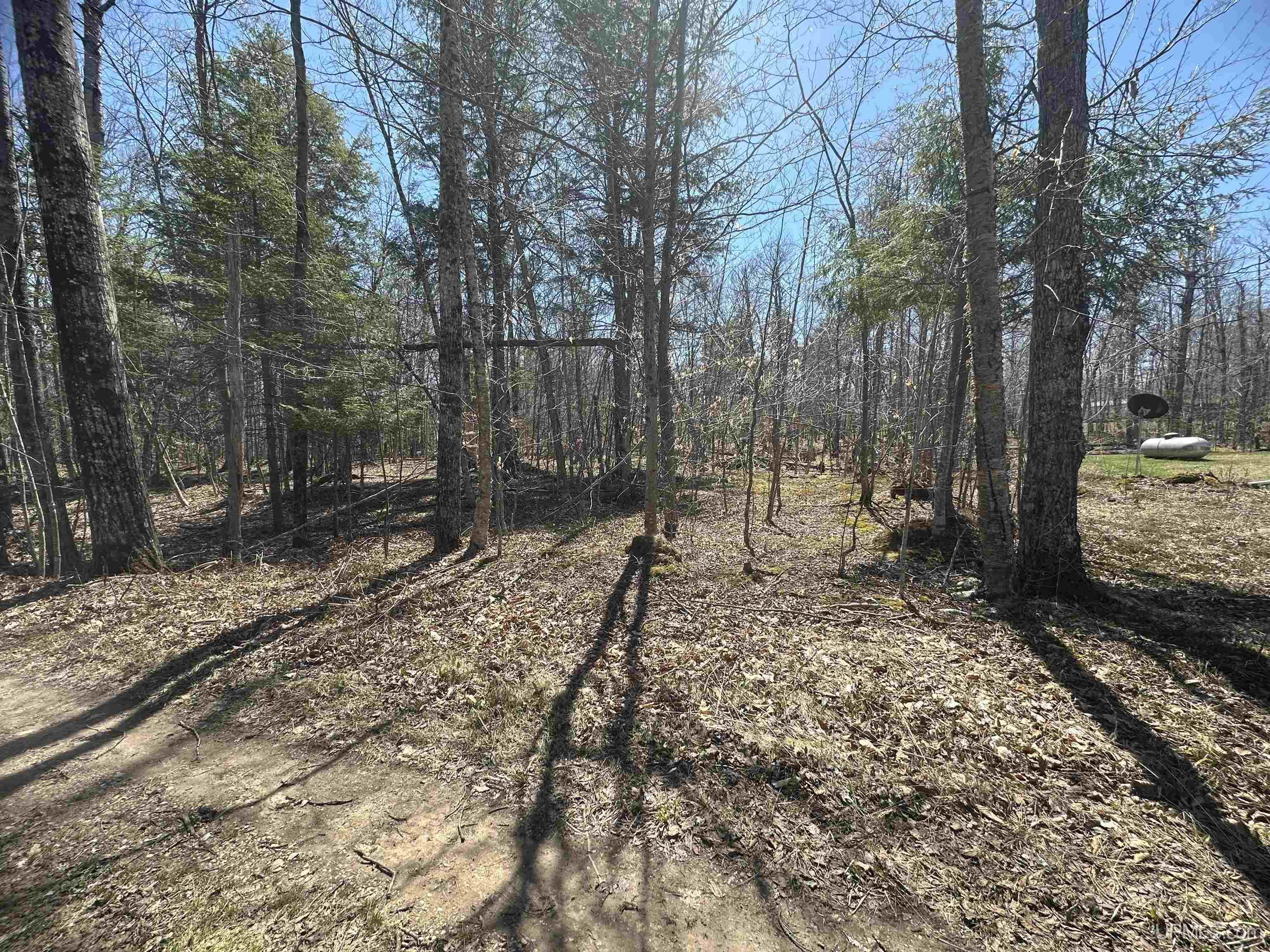 Tbd Tbd Street Manistique, MI 49854 - Photo 2 of 5