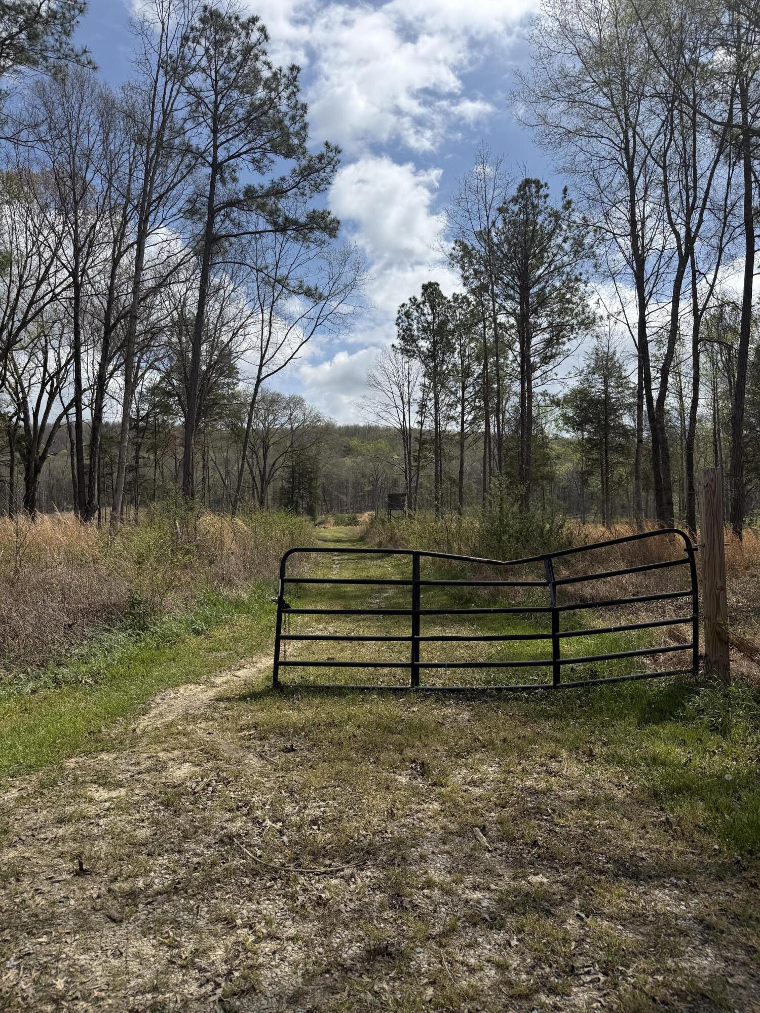 5-acres Calico Road Decatur, TN 37322 - Photo 2 of 8 IMG_5108