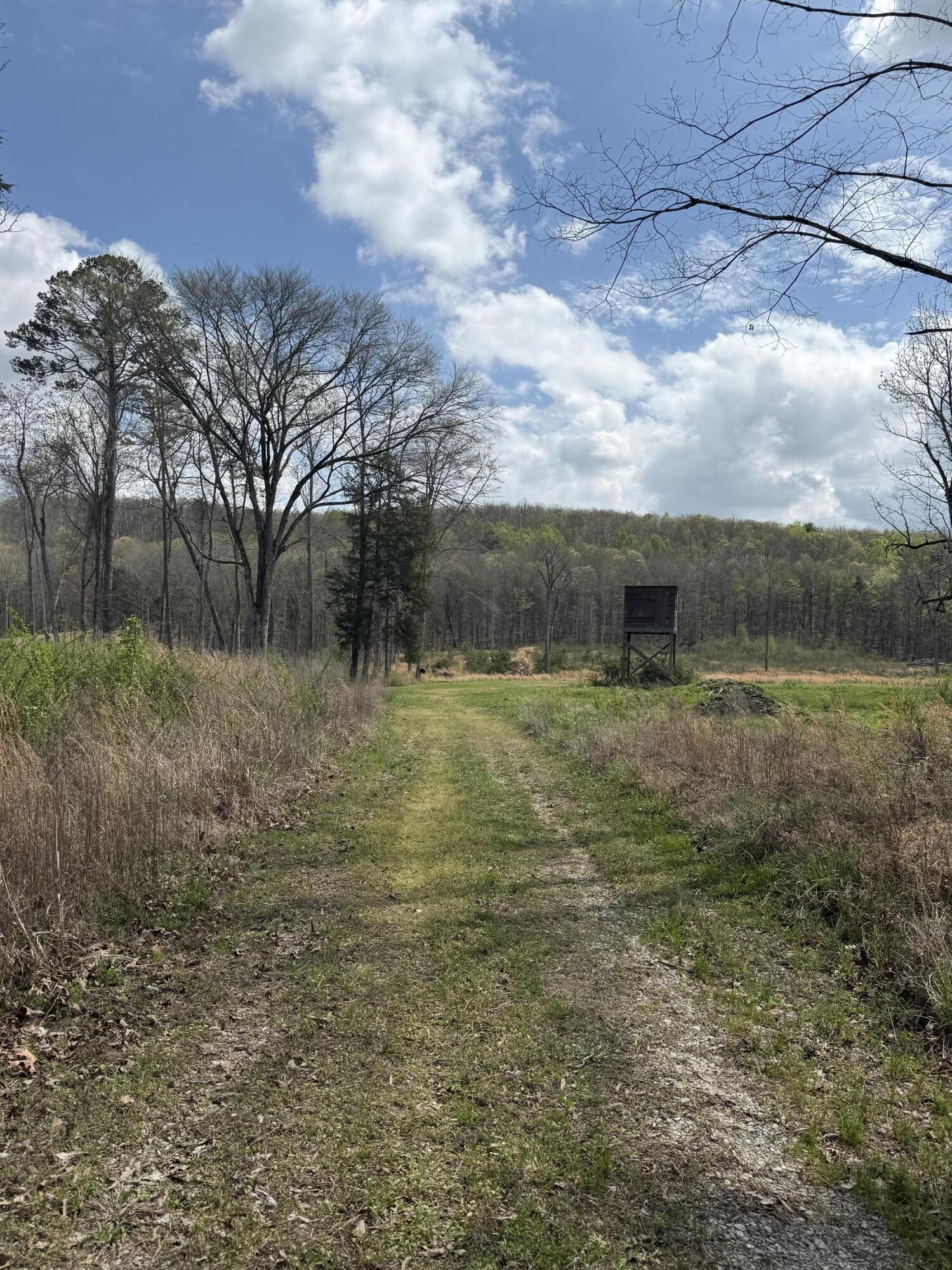 5-acres Calico Road Decatur, TN 37322 - Photo 3 of 8 IMG_5111