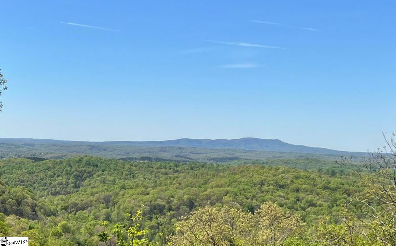 720 Callahan Mountain Road Travelers Rest, SC 29690 - Photo 2 of 18