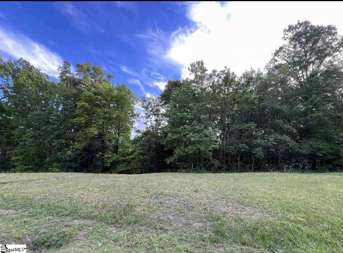 720 Callahan Mountain Road Travelers Rest, SC 29690 - Photo 3 of 18