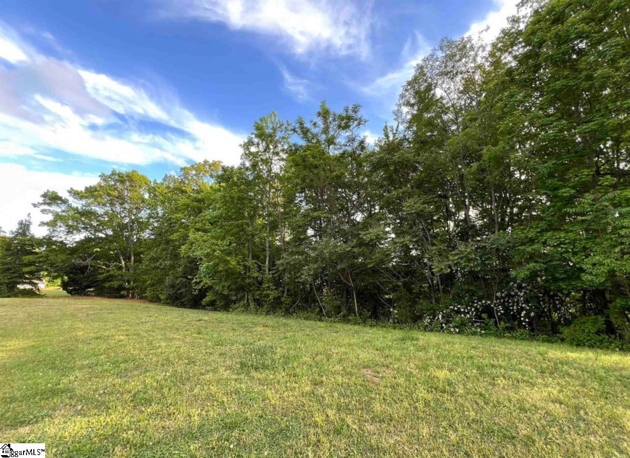 720 Callahan Mountain Road Travelers Rest, SC 29690 - Photo 4 of 18