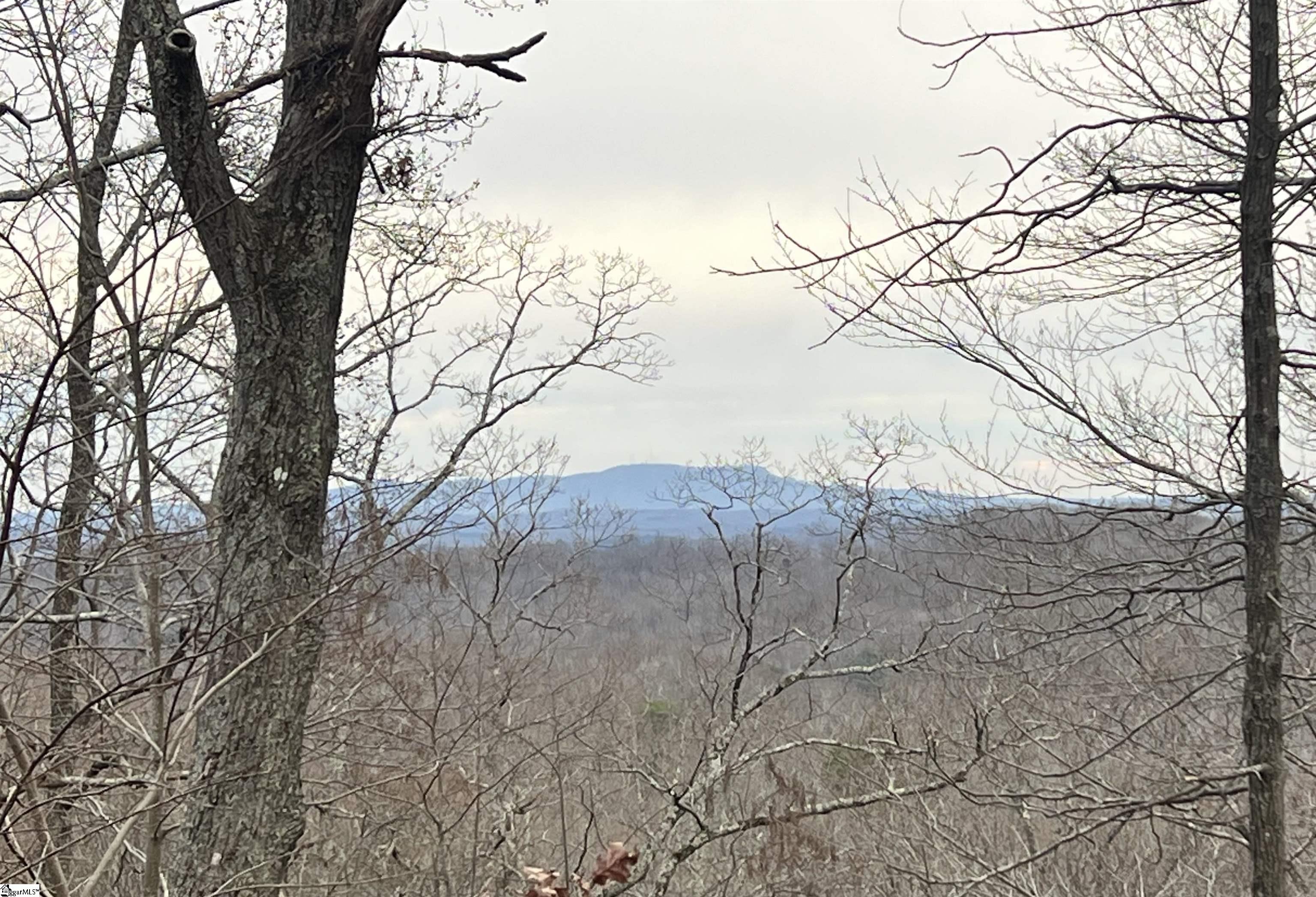 720 Callahan Mountain Road Travelers Rest, SC 29690 - Photo 5 of 18
