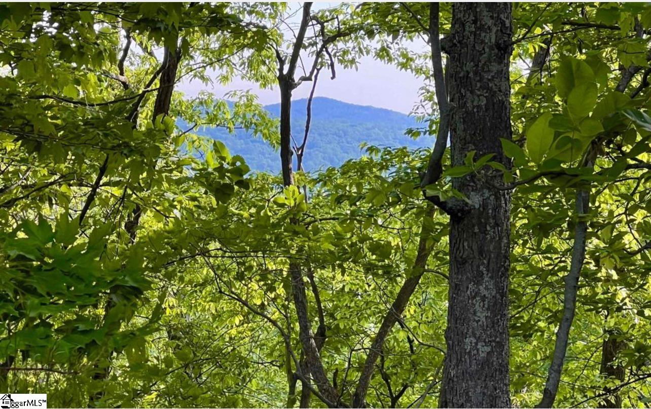 720 Callahan Mountain Road Travelers Rest, SC 29690 - Photo 6 of 18