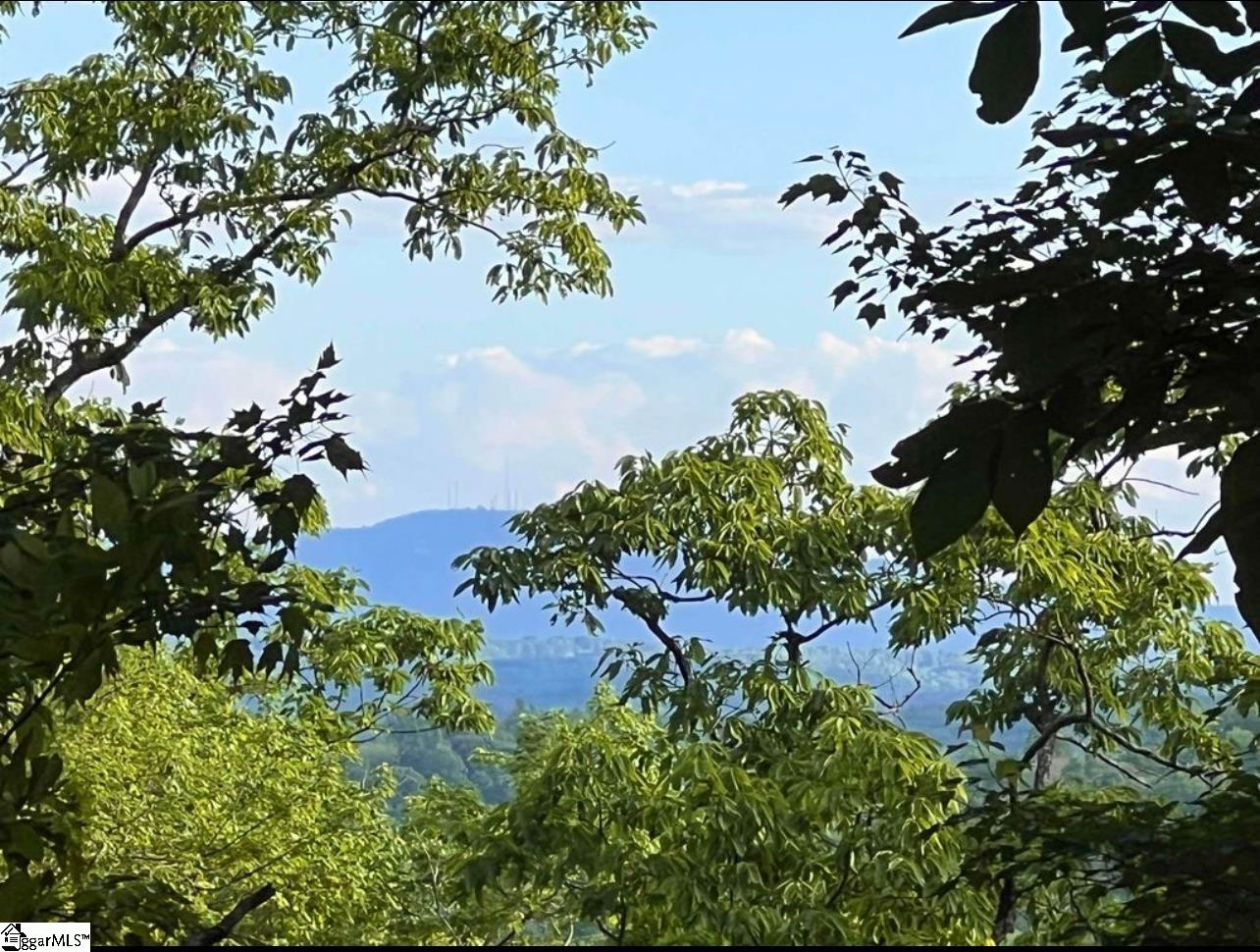 720 Callahan Mountain Road Travelers Rest, SC 29690 - Photo 7 of 18