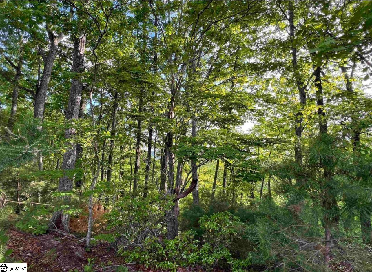 720 Callahan Mountain Road Travelers Rest, SC 29690 - Photo 9 of 18