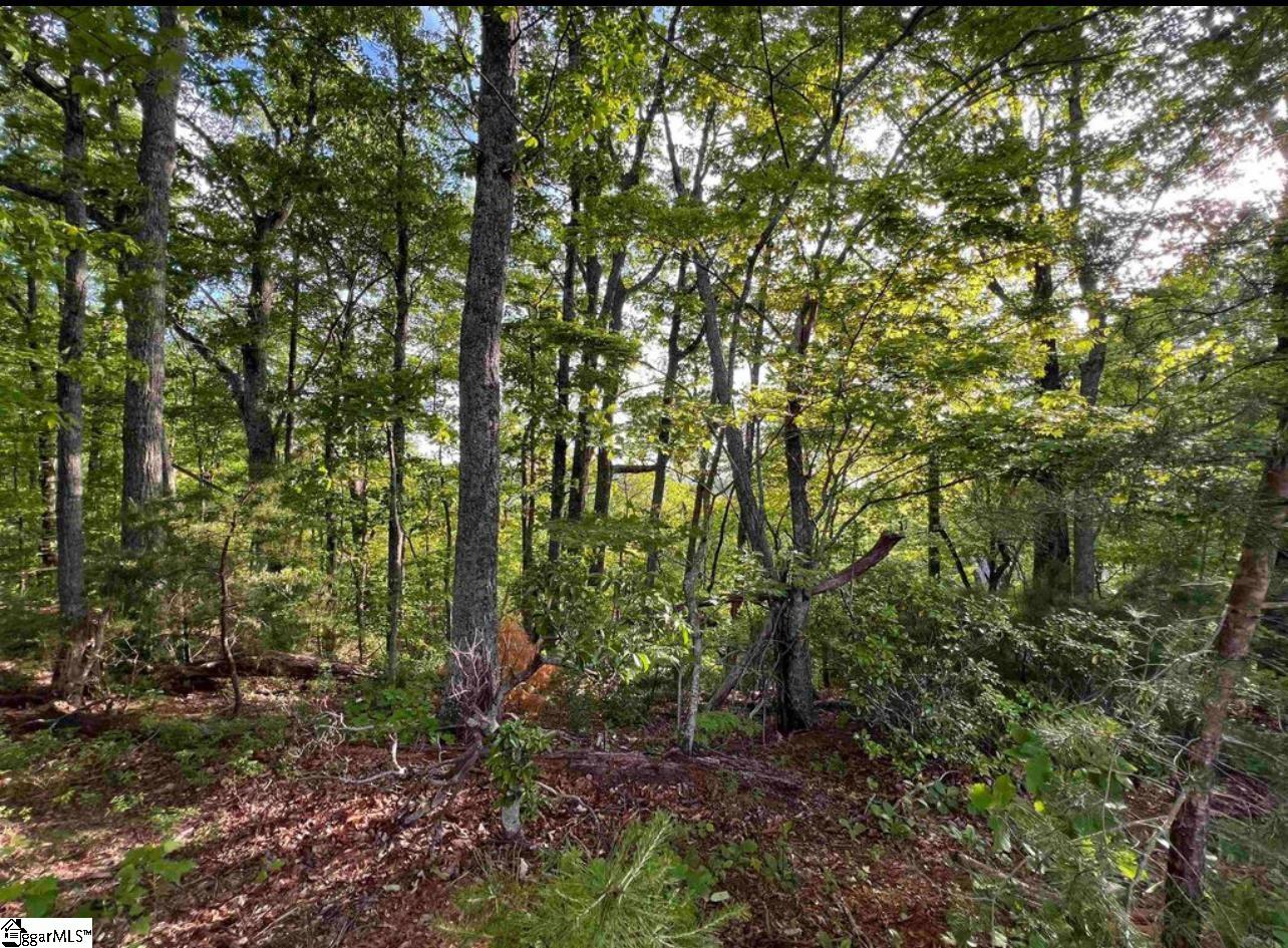 720 Callahan Mountain Road Travelers Rest, SC 29690 - Photo 10 of 18