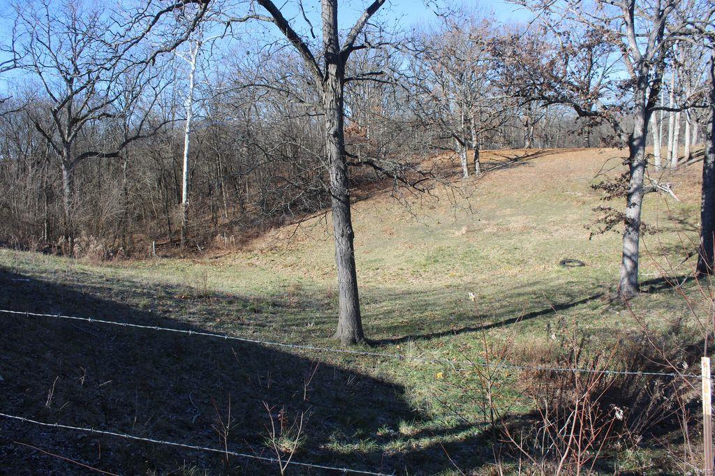 9933 Shipman Road Shipman, IL 62685 - Photo 35 of 39