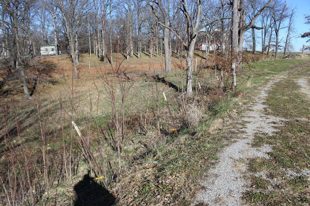 9933 Shipman Road Shipman, IL 62685 - Photo 38 of 39