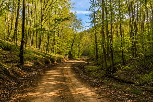 $60,000 | 0 Blackstone Mountain, Manchester, KY 40962