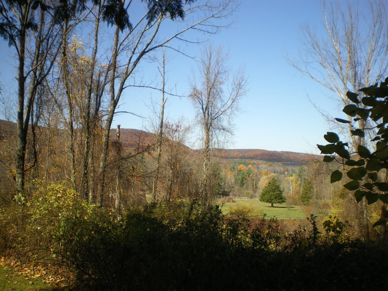 129 Jug End Road Egremont, MA 01230 - Photo 4 of 15 Back yard