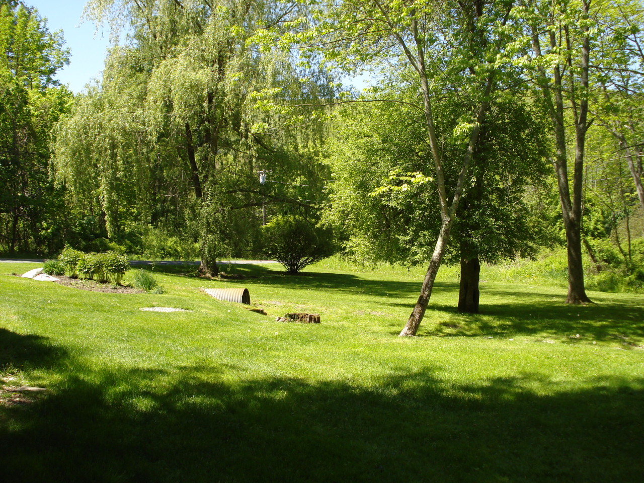 129 Jug End Road Egremont, MA 01230 - Photo 5 of 15 Side yard