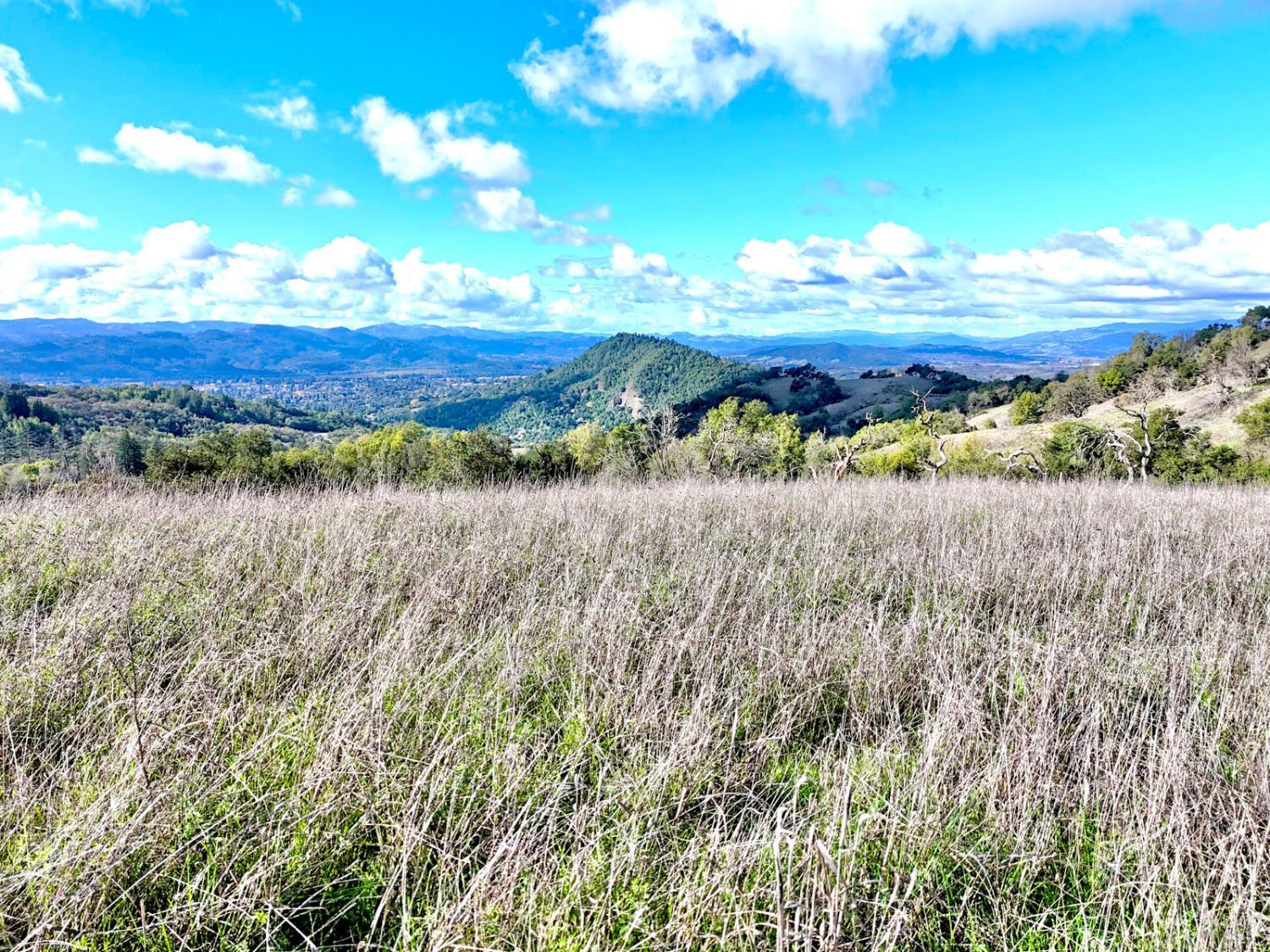 13000 Los Amigos Road Healdsburg, CA 95448 - Photo 15 of 35