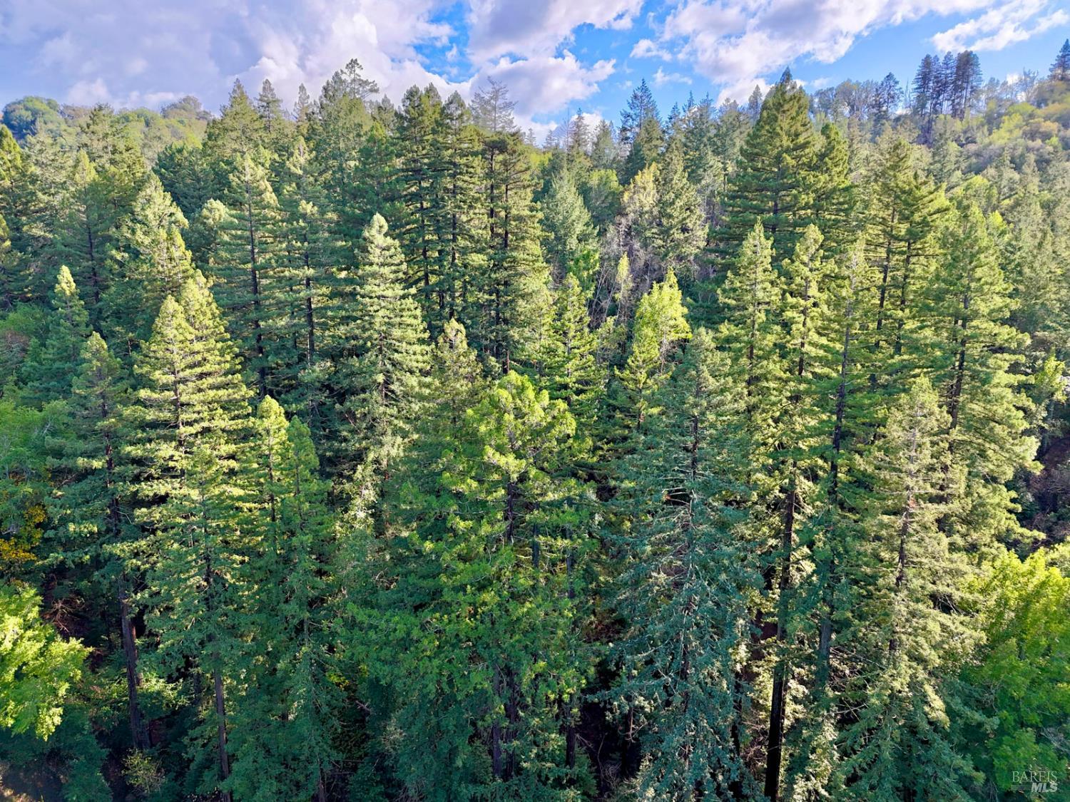 13000 Los Amigos Road Healdsburg, CA 95448 - Photo 21 of 35