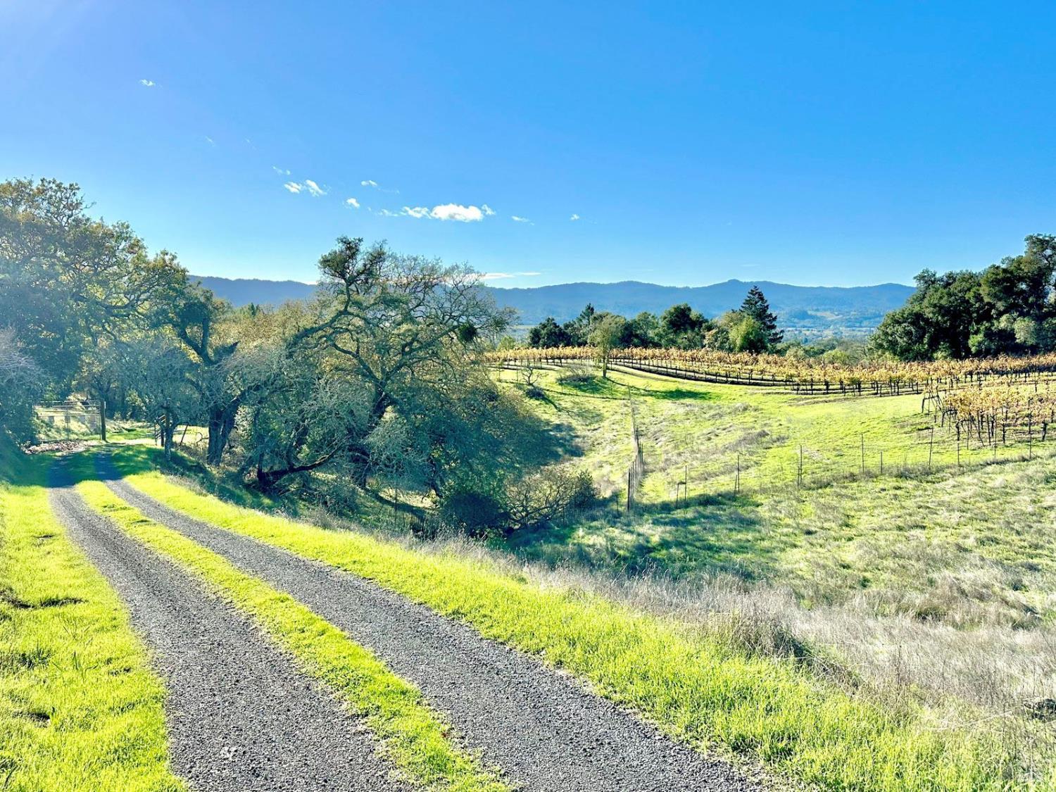 13000 Los Amigos Road Healdsburg, CA 95448 - Photo 32 of 35