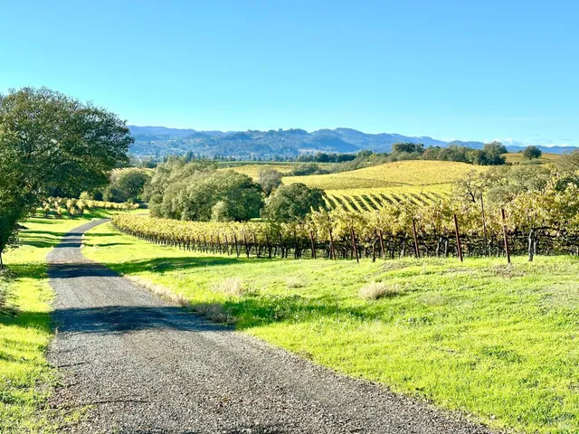 $8,500,000 | 13000 Los Amigos Road, Healdsburg, CA 95448