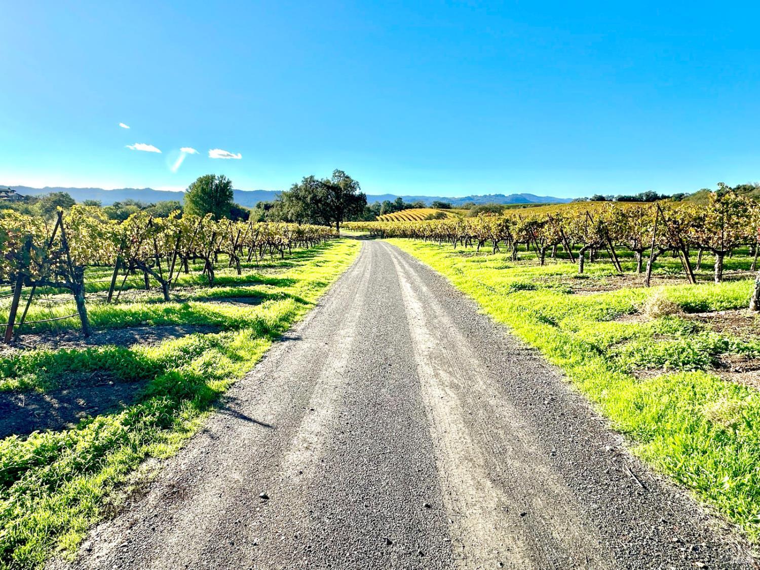 13000 Los Amigos Road Healdsburg, CA 95448 - Photo 35 of 35