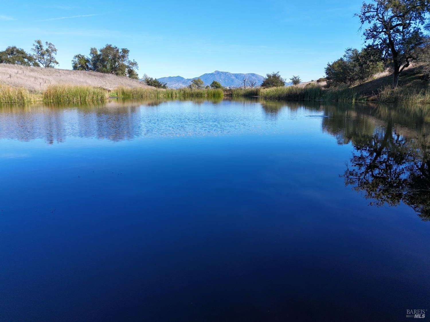 13000 Los Amigos Road Healdsburg, CA 95448 - Photo 8 of 35