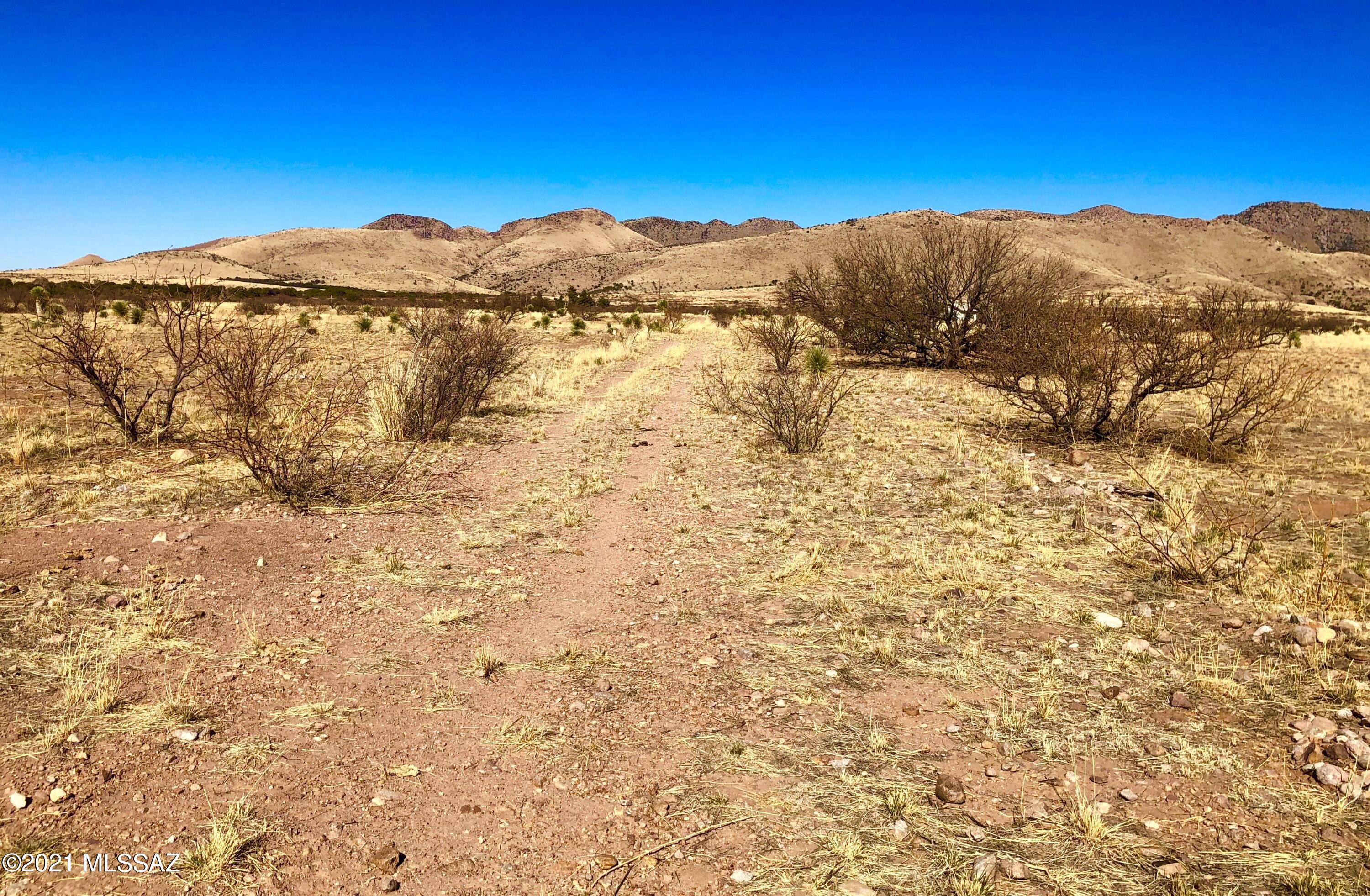 40.16 Ac Pearce, AZ 85625 - Photo 30 of 50