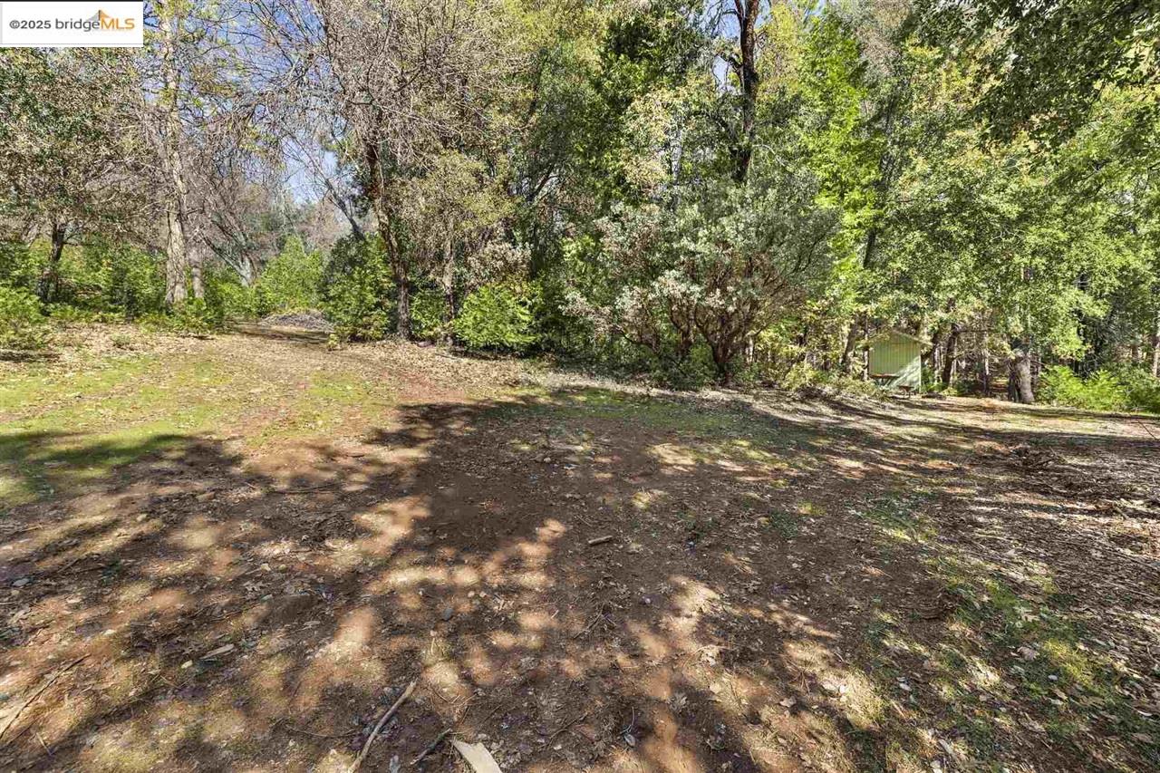 23282 Comstock Ranch Road Sonora, CA 95370 - Photo 11 of 19 a view of dirt yard with a tree