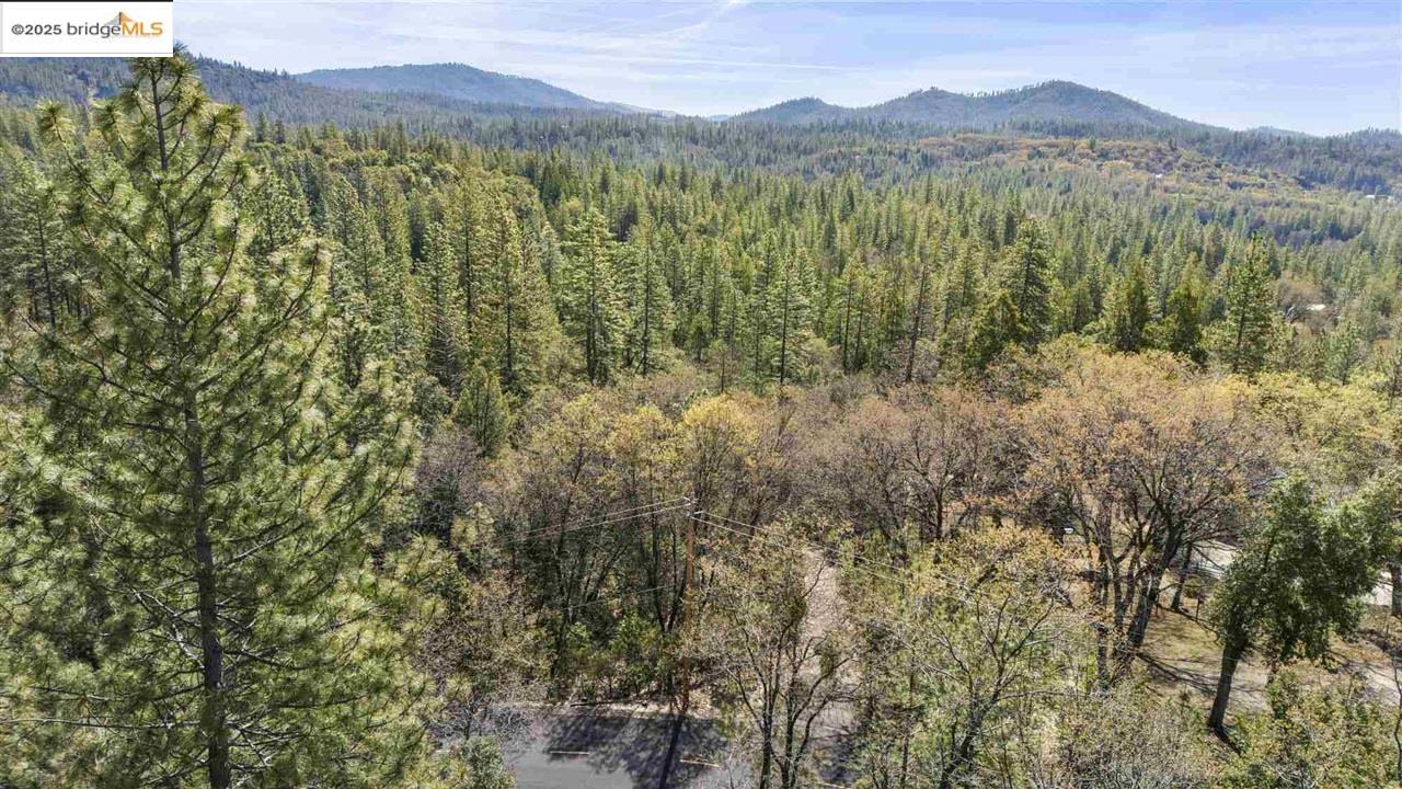 23282 Comstock Ranch Road Sonora, CA 95370 - Photo 13 of 19 a view of a forest with mountains in the background