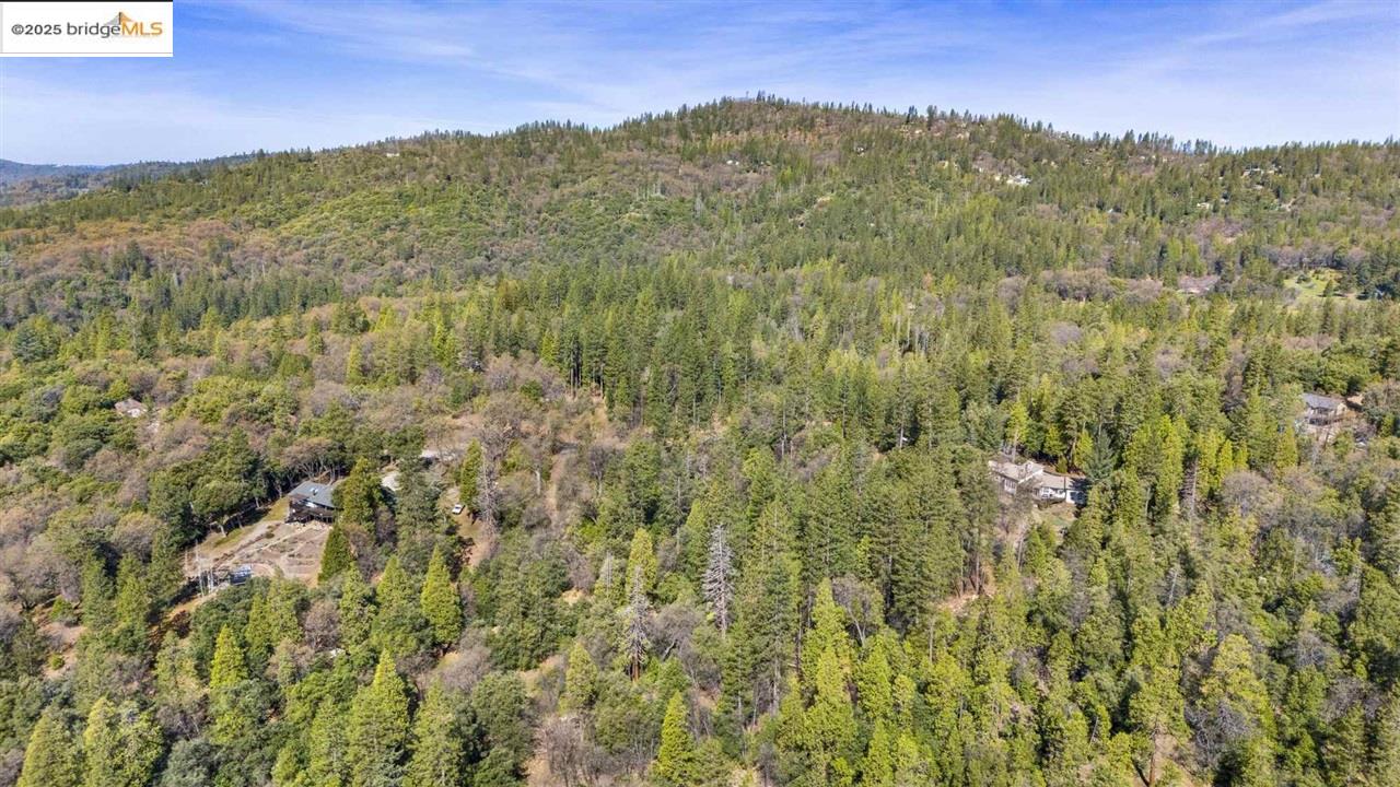 23282 Comstock Ranch Road Sonora, CA 95370 - Photo 16 of 19 a view of a lush green forest with a mountain