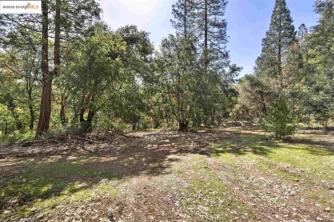 23282 Comstock Ranch Road Sonora, CA 95370 - Photo 18 of 19 a view of a yard with plants and trees