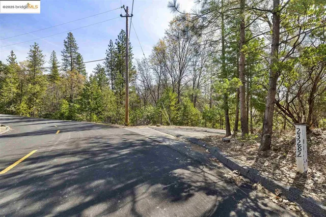 a view of a yard with a tree